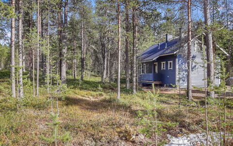 Hoviranta: Tree, Wood, Plant Community, Woodland, Forest, Land Lot, Cottage, Trunk, Grove, Northern Hardwood Forest