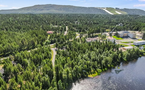 Levinstone: Tree, Natural Environment, Aerial Photography, Bird'S-Eye View, Landscape, Forest, Land Lot, Hill Station