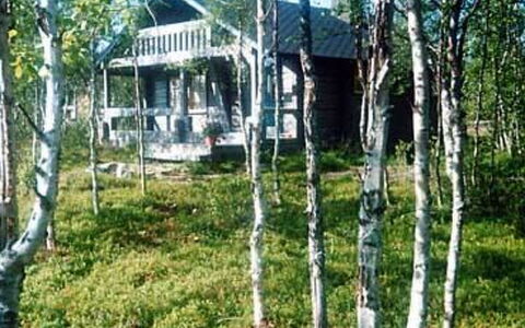 Juolukka: Tree, Wood, Woodland, Forest, Trunk, Cottage, Birch, Grove, Log Cabin