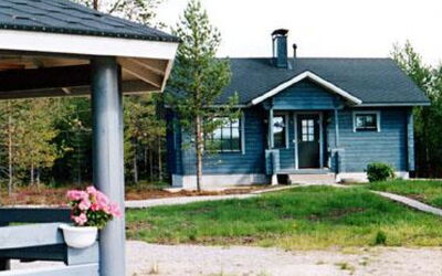 Mäntyaho