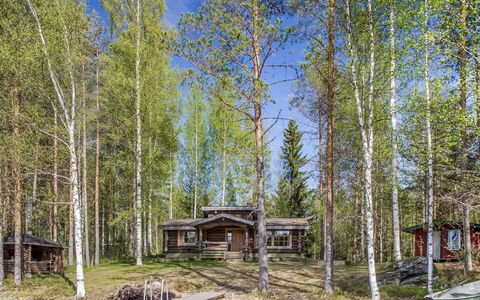 Papanmökki: Tree, Wood, Bank, Cottage, Forest, Log Cabin, Rural Area, Woodland, Lake, Trunk