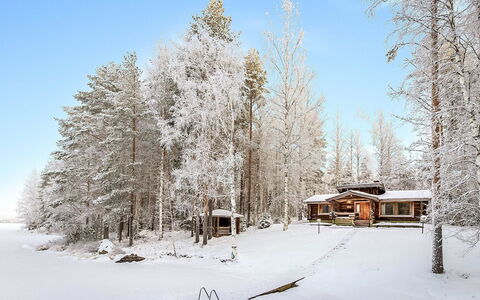 Papanmökki: Snow, Winter, Branch, Tree, Wood, Cottage, House, Landscape, Home, Twig