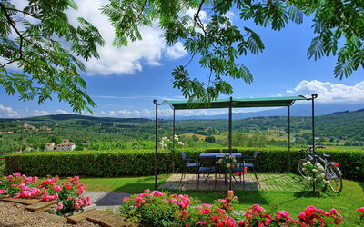 Collina