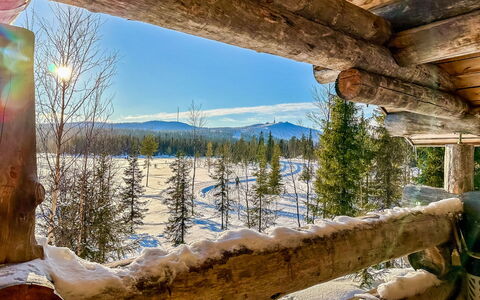 Riekonkätkä: Wood, Cottage, Log Cabin, Forest, Shed, Garden Buildings, Larch, Woodland, Wood Stain