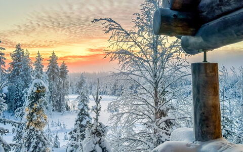 Riekonkätkä: Wood, Cottage, Log Cabin, Forest, Shed, Garden Buildings, Larch, Woodland, Wood Stain
