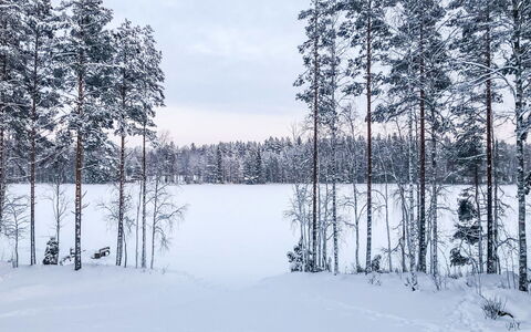 Inkeri: Wood, Snow, Winter, Cottage, Freezing, Home, Log Cabin, Larch, Siding