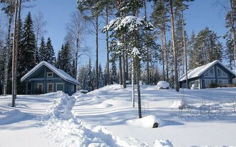 Safiiri: Wood, Snow, Winter, Cottage, Freezing, Home, Log Cabin, Larch, Siding