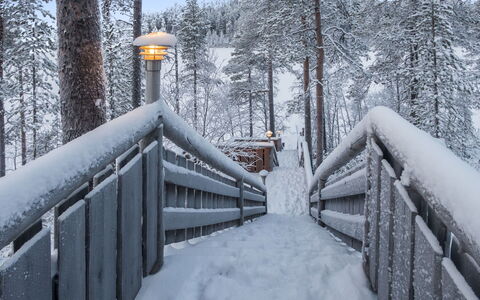 Karhulinna: Wood, Cottage, Log Cabin, Forest, Shed, Garden Buildings, Larch, Woodland, Wood Stain