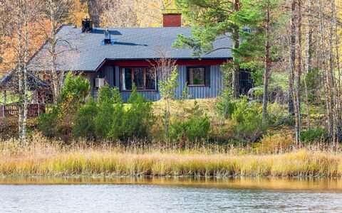 Viehko: Wood, Cottage, Log Cabin, Forest, Shed, Garden Buildings, Larch, Woodland, Wood Stain