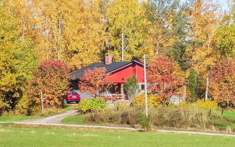 Viehko: Wood, Cottage, Log Cabin, Forest, Shed, Garden Buildings, Larch, Woodland, Wood Stain