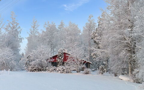 Viehko: Wood, Cottage, Log Cabin, Forest, Shed, Garden Buildings, Larch, Woodland, Wood Stain