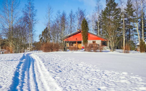 Viehko: Wood, Cottage, Log Cabin, Forest, Shed, Garden Buildings, Larch, Woodland, Wood Stain