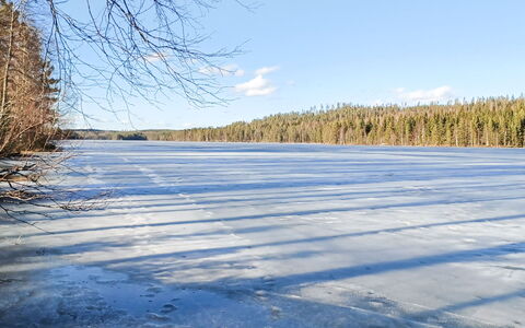 Pellervo: Blue, Natural Environment, Nature, Natural Landscape, Winter, Landscape, Wilderness, Freezing, Snow, Forest