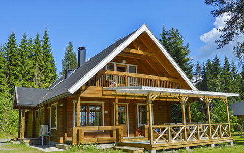 Rinnepelto: Wood, Cottage, Log Cabin, Forest, Shed, Garden Buildings, Larch, Woodland, Wood Stain