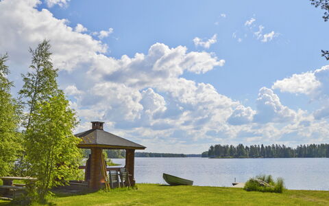 Rinnepelto: Wood, Cottage, Log Cabin, Forest, Shed, Garden Buildings, Larch, Woodland, Wood Stain