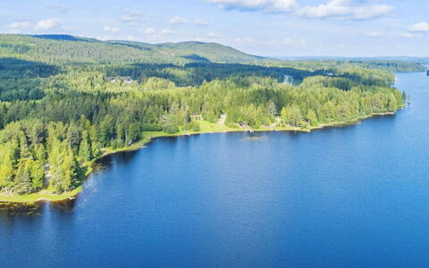 Rinnepelto: Wood, Cottage, Log Cabin, Forest, Shed, Garden Buildings, Larch, Woodland, Wood Stain