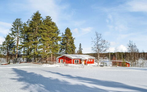 Ellilä: Tree, Snow, Winter, Wood, Branch, Roof, Cottage, House, Home, Freezing