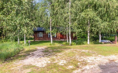 Pikkupuro: Wood, Cottage, Log Cabin, Forest, Shed, Garden Buildings, Larch, Woodland, Wood Stain