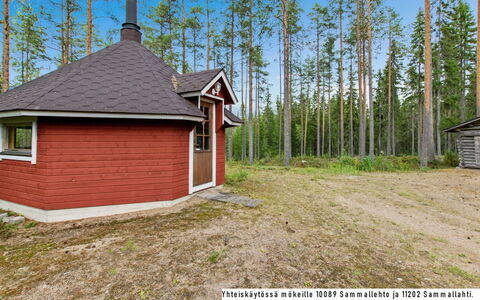 Sammallehto: Wood, Cottage, Log Cabin, Forest, Shed, Garden Buildings, Larch, Woodland, Wood Stain
