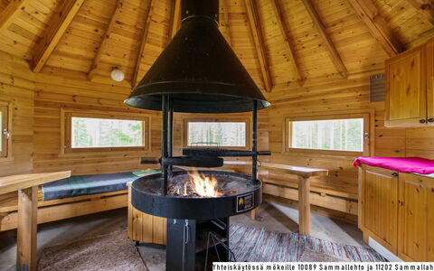 Sammallehto: Wood, Cottage, Log Cabin, Forest, Shed, Garden Buildings, Larch, Woodland, Wood Stain