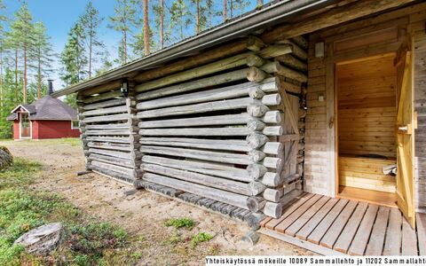 Sammallehto: Wood, Cottage, Log Cabin, Forest, Shed, Garden Buildings, Larch, Woodland, Wood Stain