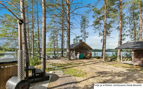 Sammallehto: Wood, Cottage, Log Cabin, Forest, Shed, Garden Buildings, Larch, Woodland, Wood Stain