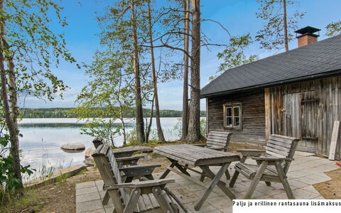 Sammallehto: Wood, Cottage, Log Cabin, Forest, Shed, Garden Buildings, Larch, Woodland, Wood Stain