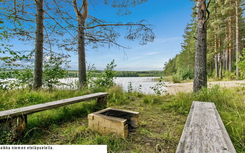 Sammallehto: Wood, Cottage, Log Cabin, Forest, Shed, Garden Buildings, Larch, Woodland, Wood Stain