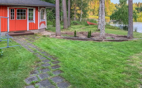 Majavanpesä: Grass, Garden, Shrub, Land Lot, Lawn, Backyard, Groundcover, Cottage, Landscaping