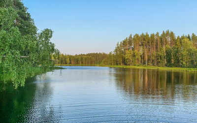 Majavanpesä
