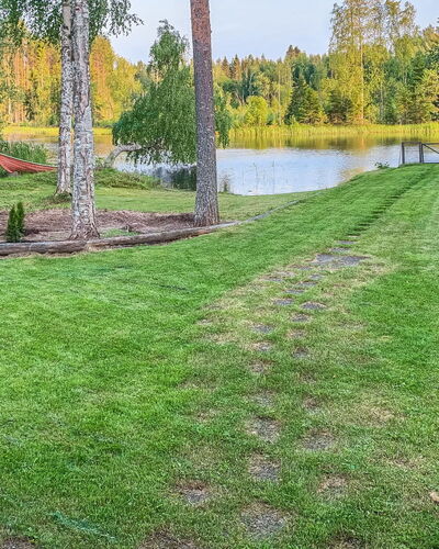 Majavanpesä