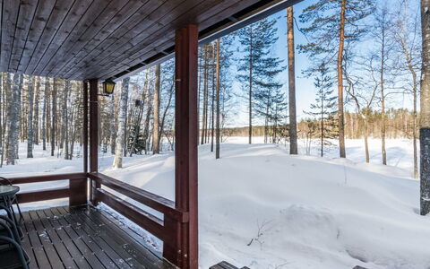 2234: Wood, Snow, Winter, Cottage, Freezing, Home, Log Cabin, Larch, Siding