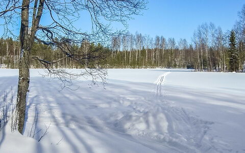2234: Wood, Snow, Winter, Cottage, Freezing, Home, Log Cabin, Larch, Siding