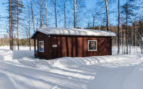 2234: Wood, Snow, Winter, Cottage, Freezing, Home, Log Cabin, Larch, Siding