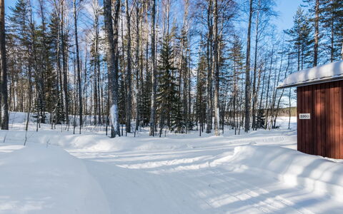 2234: Wood, Snow, Winter, Cottage, Freezing, Home, Log Cabin, Larch, Siding