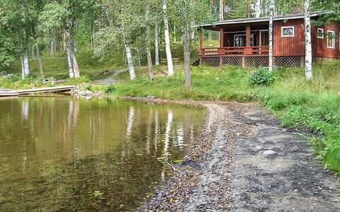 2235: Wood, Cottage, Log Cabin, Forest, Shed, Garden Buildings, Larch, Woodland, Wood Stain