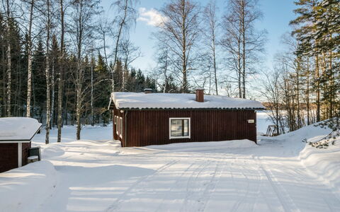 2235: Wood, Cottage, Log Cabin, Forest, Shed, Garden Buildings, Larch, Woodland, Wood Stain