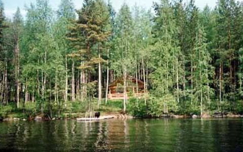 5816: Water, Water Resources, Body Of Water, Tree, Natural Environment, Nature, Waterway, Forest, Bank, Watercourse