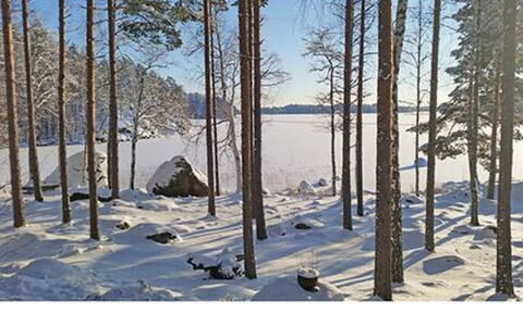 Rihka: Cottage, House, Home, Garden Buildings, Siding, Log Cabin, Farmhouse, Estate, Shed, Yard