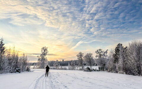 Villa-Lyydia: Sky, Snow, Winter, Branch, Cloud, Freezing, Recreation, Sunlight, Sunrise, Morning