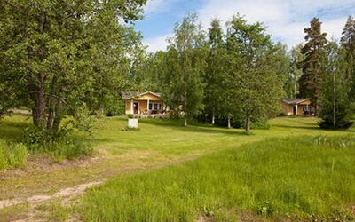 Keltavuokko