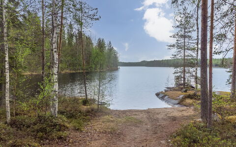 Kaakonnokka: Wood, Cottage, Log Cabin, Forest, Shed, Garden Buildings, Larch, Woodland, Wood Stain
