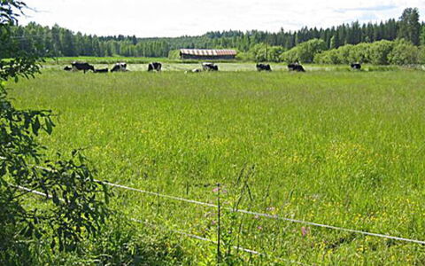 Pikkutupa: Waterway, Bank, Watercourse, Lake, Cottage, Forest, Channel, Reservoir, Log Cabin