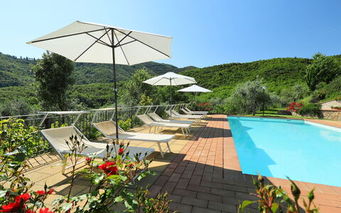 Zen: Swimming Pool, Property, Resort, Vacation, Botany, Leisure, Building, Shade, House, Tree