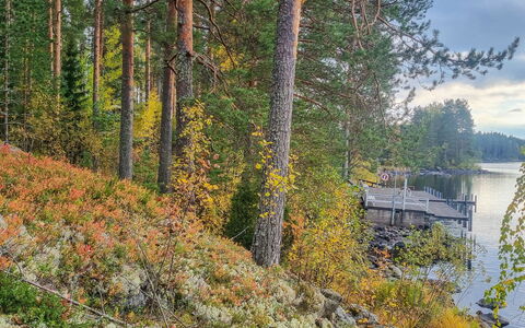 Unnukkamaja: Cottage, House, Home, Garden Buildings, Siding, Log Cabin, Farmhouse, Estate, Shed, Yard
