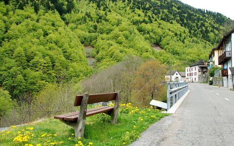 Vergeletto 100: Nature, Vegetation, Tree, Spring, Grass, Mountain, Hill Station, Rural Area, Plant, Bench