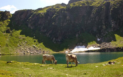 Vergeletto 100: Water, Mountain, Sky, Plant, Green, Natural Landscape, Cloud, Lake, Grass, Watercourse