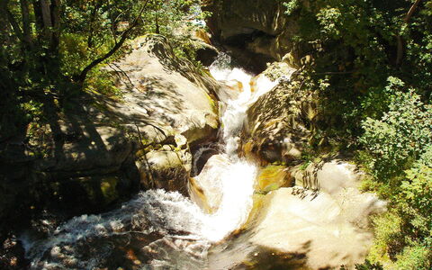 Vergeletto 100: Water, Plant, Natural Landscape, Spring, Waterfall, Sunlight, Watercourse, Tree