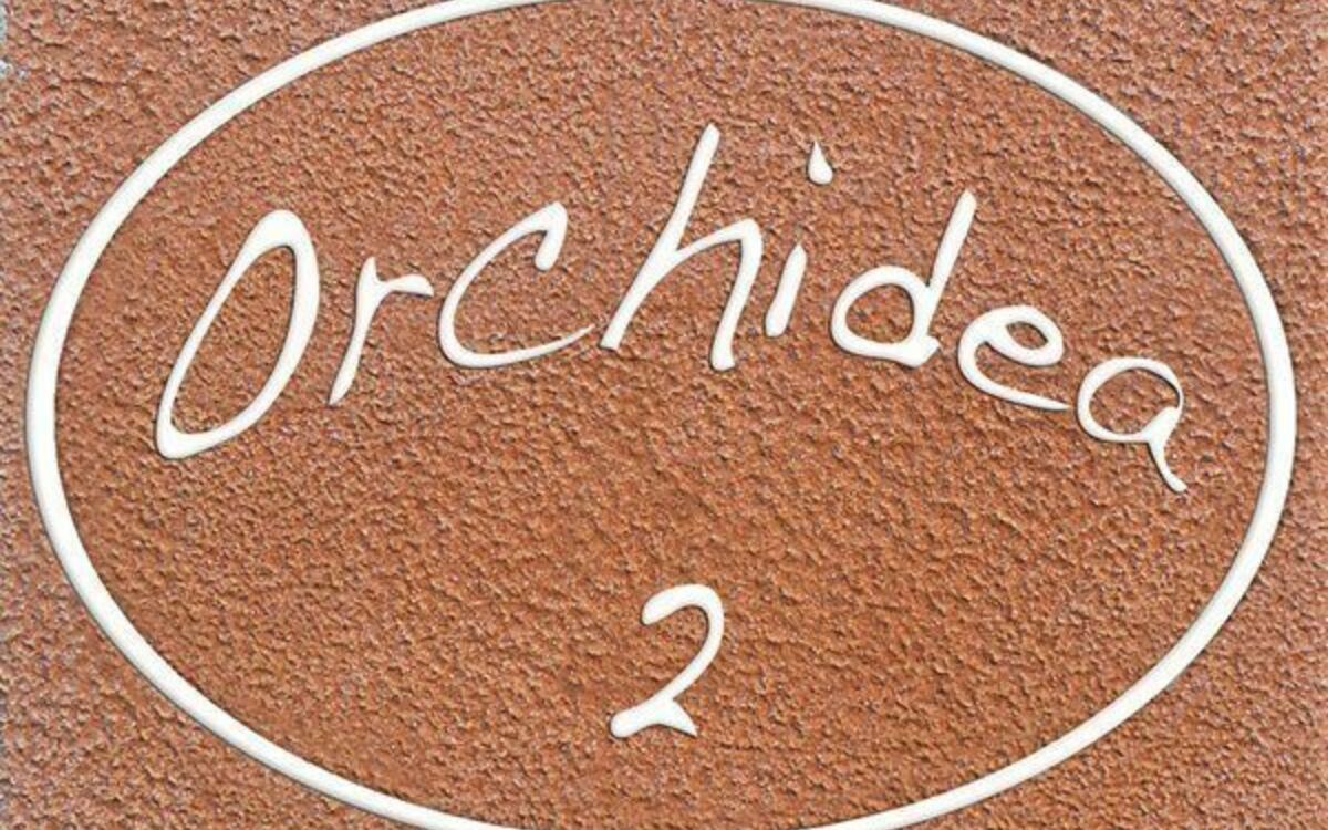 Accommodation:&nbsp;Orchidea
