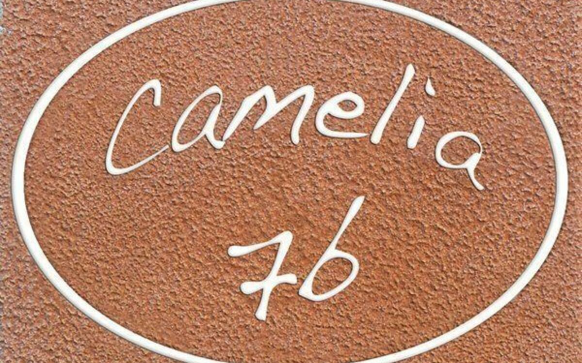 Accommodation:&nbsp;Camelia